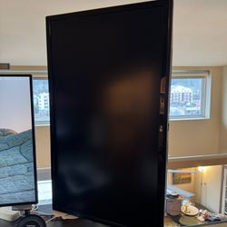 LG 27 inch 4K monitor with Ergo Desk Mount