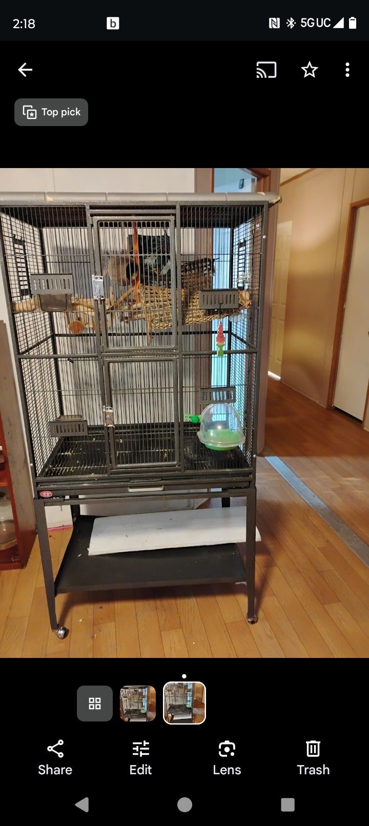 Beautiful Huge Bird Cage Used For Only One Week