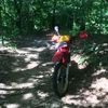 Scott