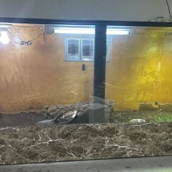 Reptile Cage 