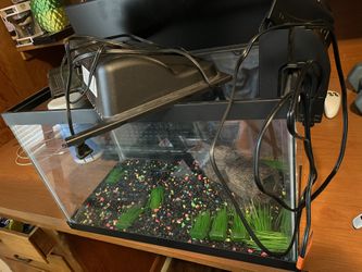 Fish Tank