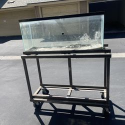 Dual Tank Rack
