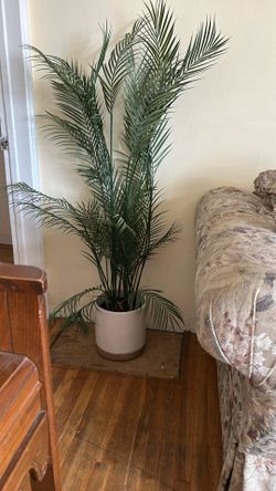 Large Artificial Palm Tree