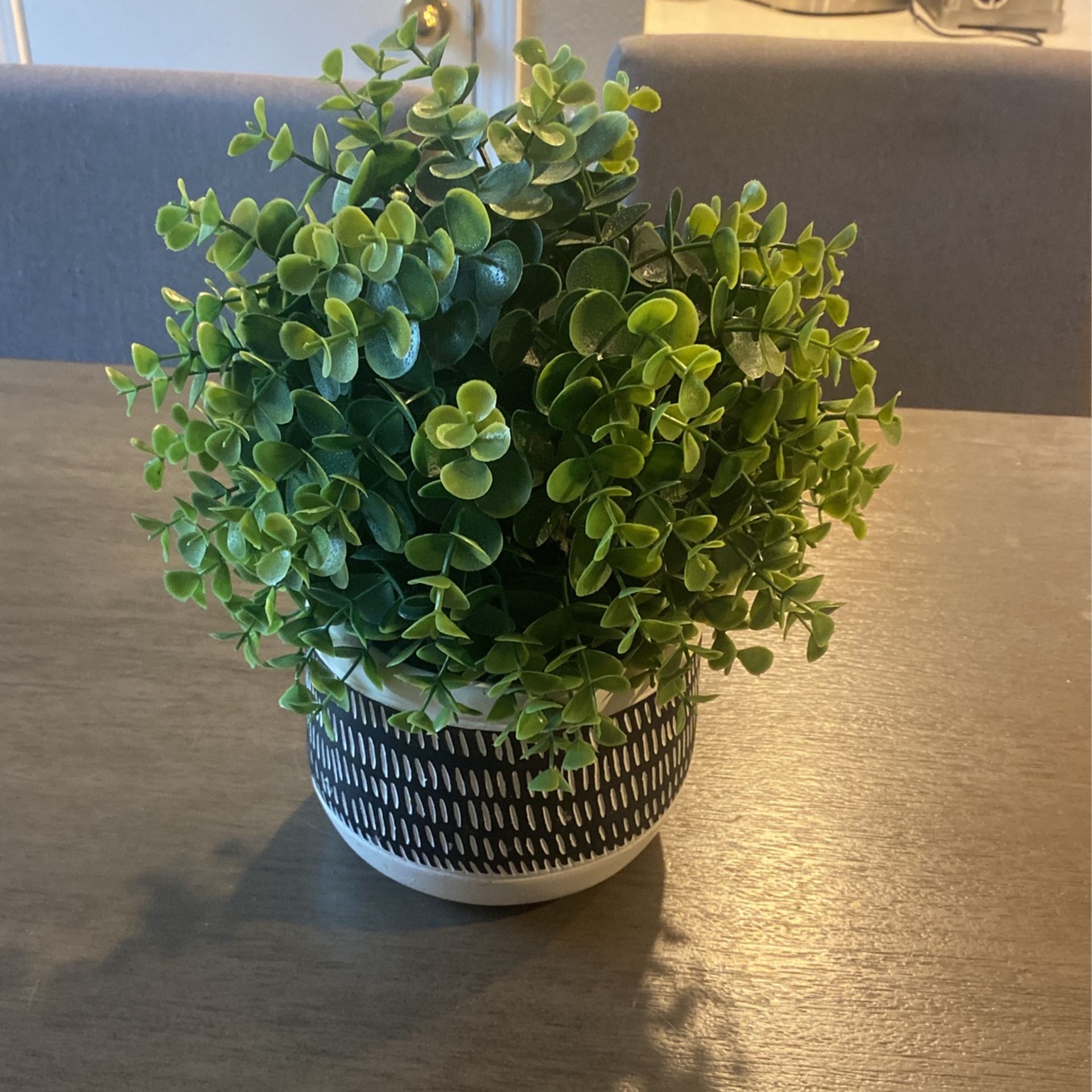 Fake Plant