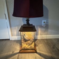 Vintage 1970s California Quails With Nest and Eggs Lamp Taxidermy Bird 