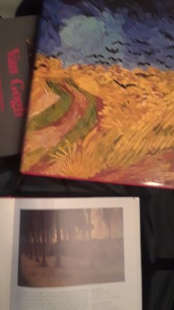 Van Gogh the complete paintings