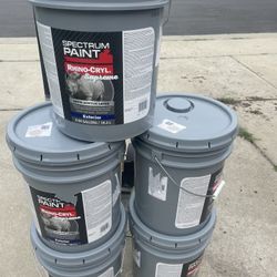 Paint
