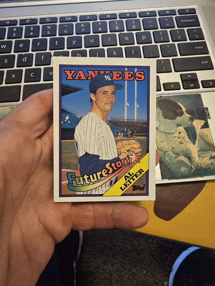 Al Leiter (Steve George Pictured) Baseball Card