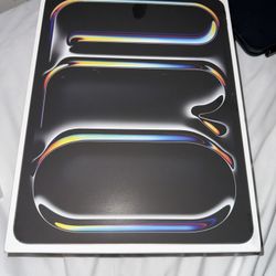 iPad Pro M4 13inch Cellular