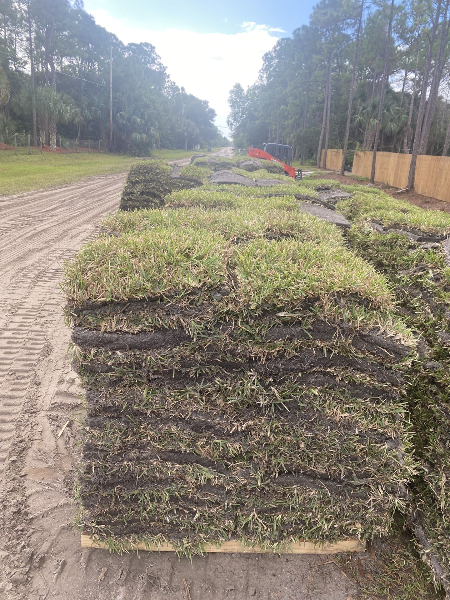 Cut to Order St. Augustine Sod