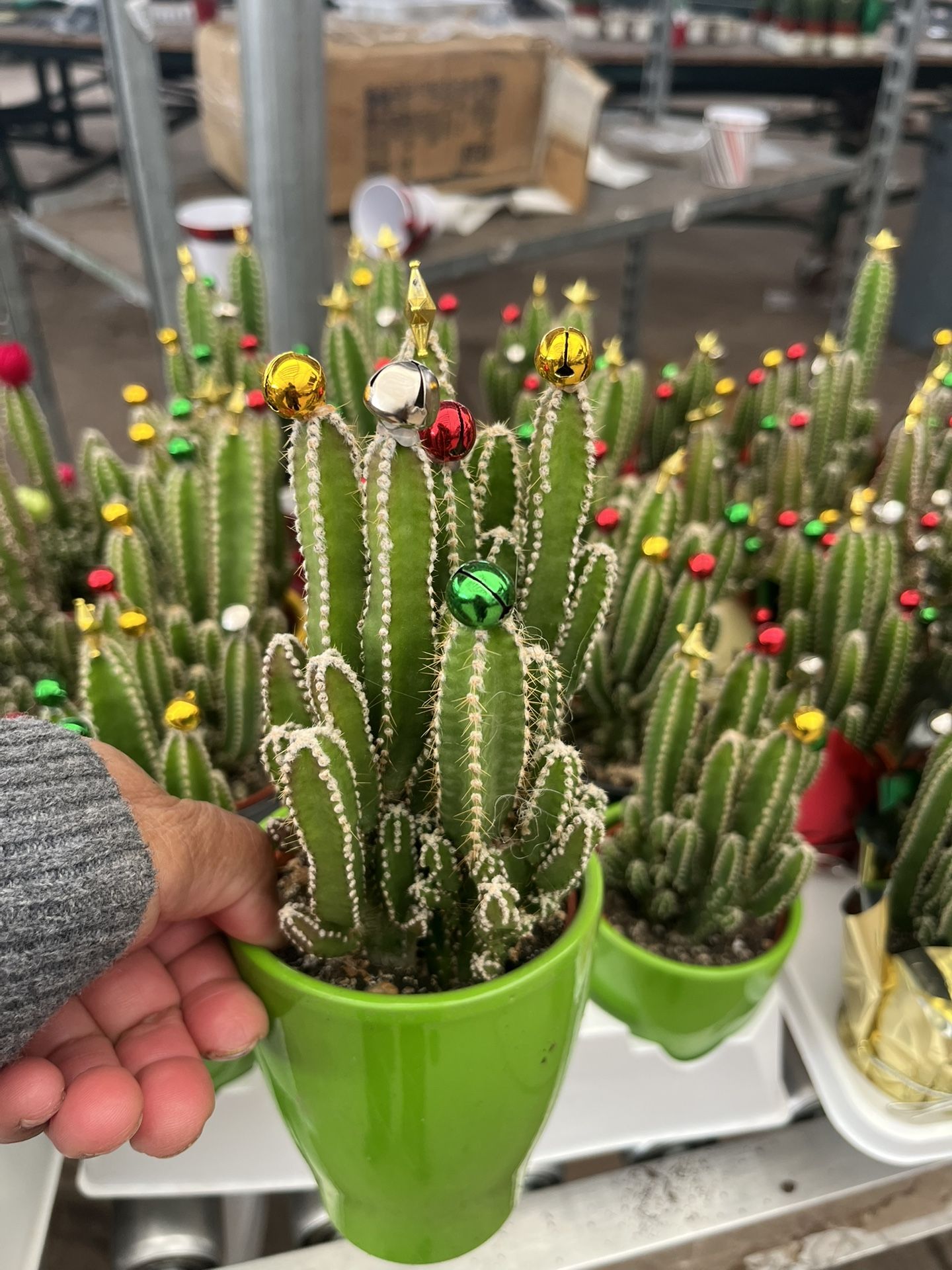 Christmas Gifts Available Now $12 Each 