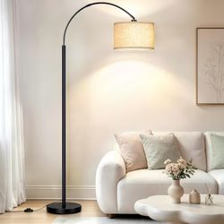 2 Pack 65" Dimmable Floor Lamps with remote control