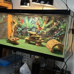 Reptile Aquarium 