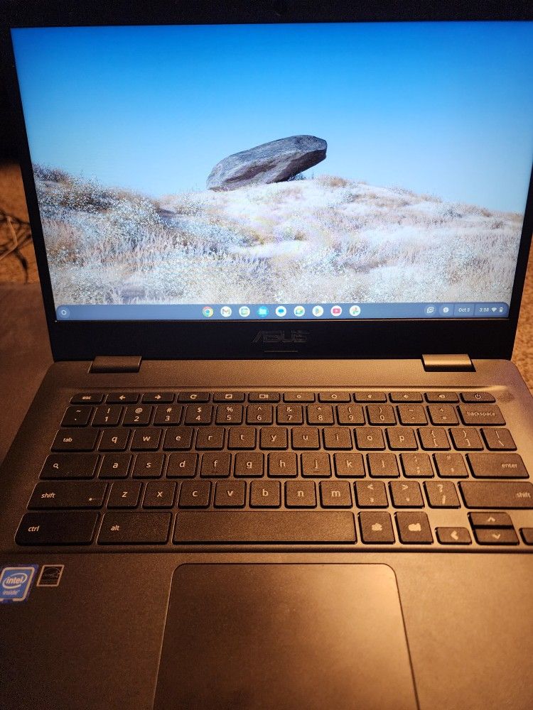 Asus 14" Chromebook