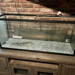 60 Gallon Tank Great Condition 