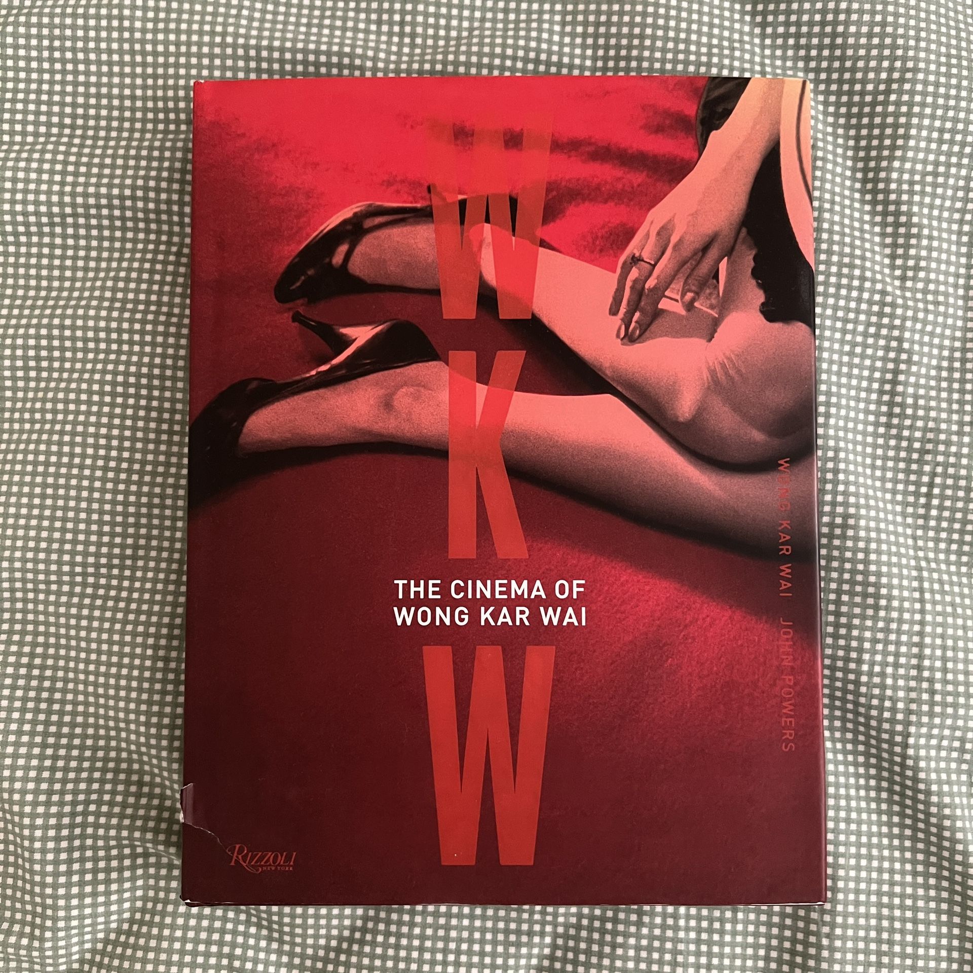 The Cinema of Wong Kar Wai book