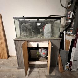 90 Gallon Fish Tank 