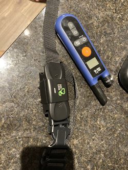 Dog Shock collar.