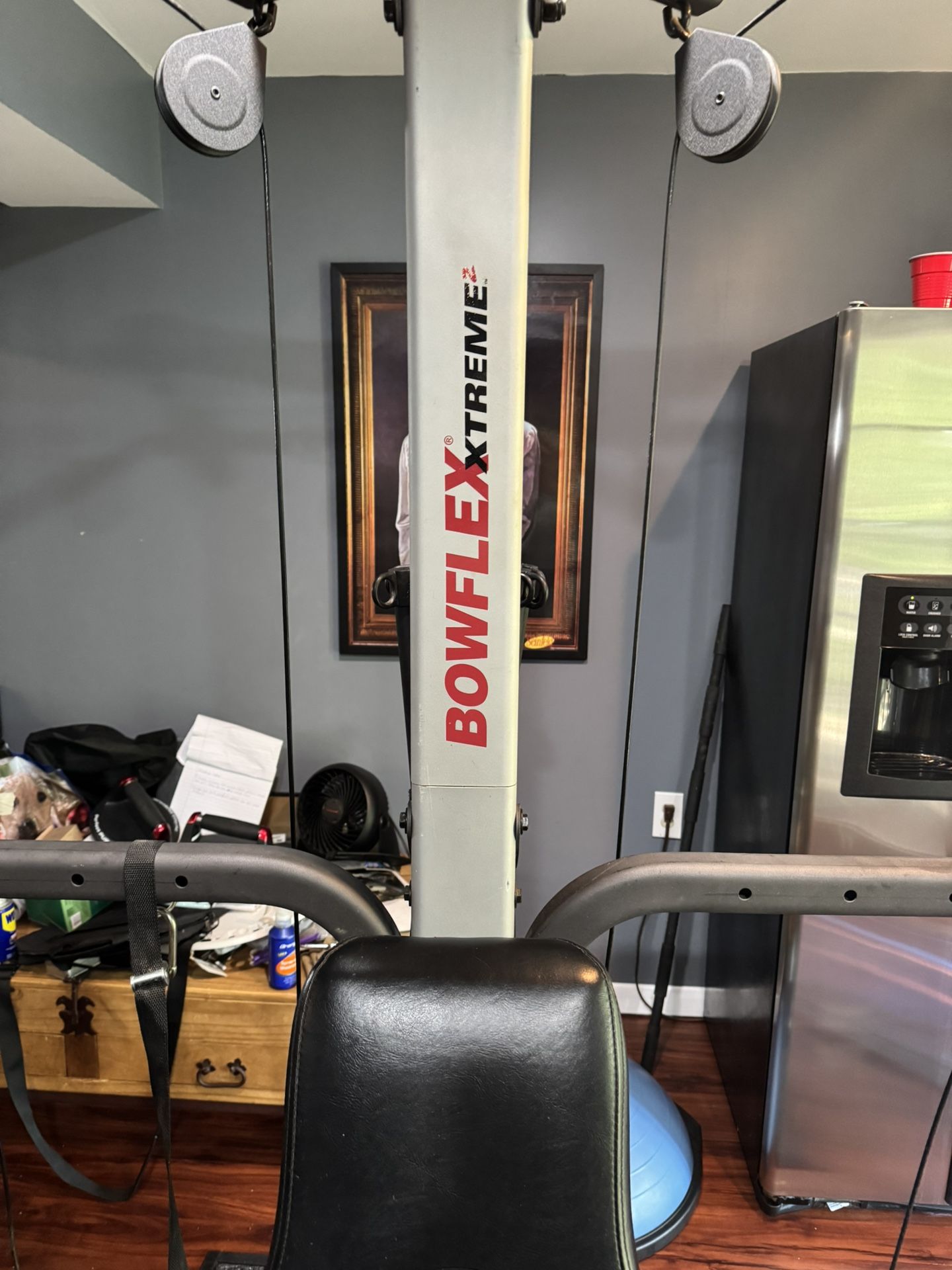 Bowflex Extreme 2 