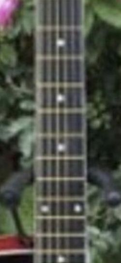 Fever Guitar $60