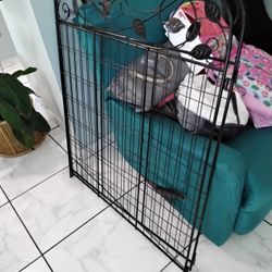Pet Cage- Two Piece Pet Cage
