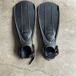 Dive Fins