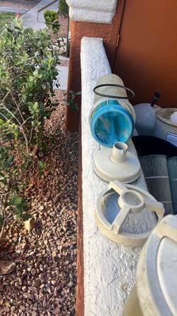 Leaf Canisters Pool