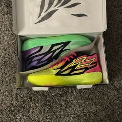 Lamelo Rick and Mortys