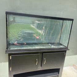 Fish tank
