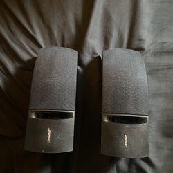 Bose Passive Wall Speakers