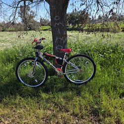 SE Colossal Ripper dipped in Red
