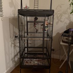 Bird Cage