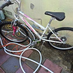 ROADMASTER 18 SPEED MOUNTAIN BIKE