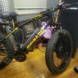 Fat Tire Eletric Bike