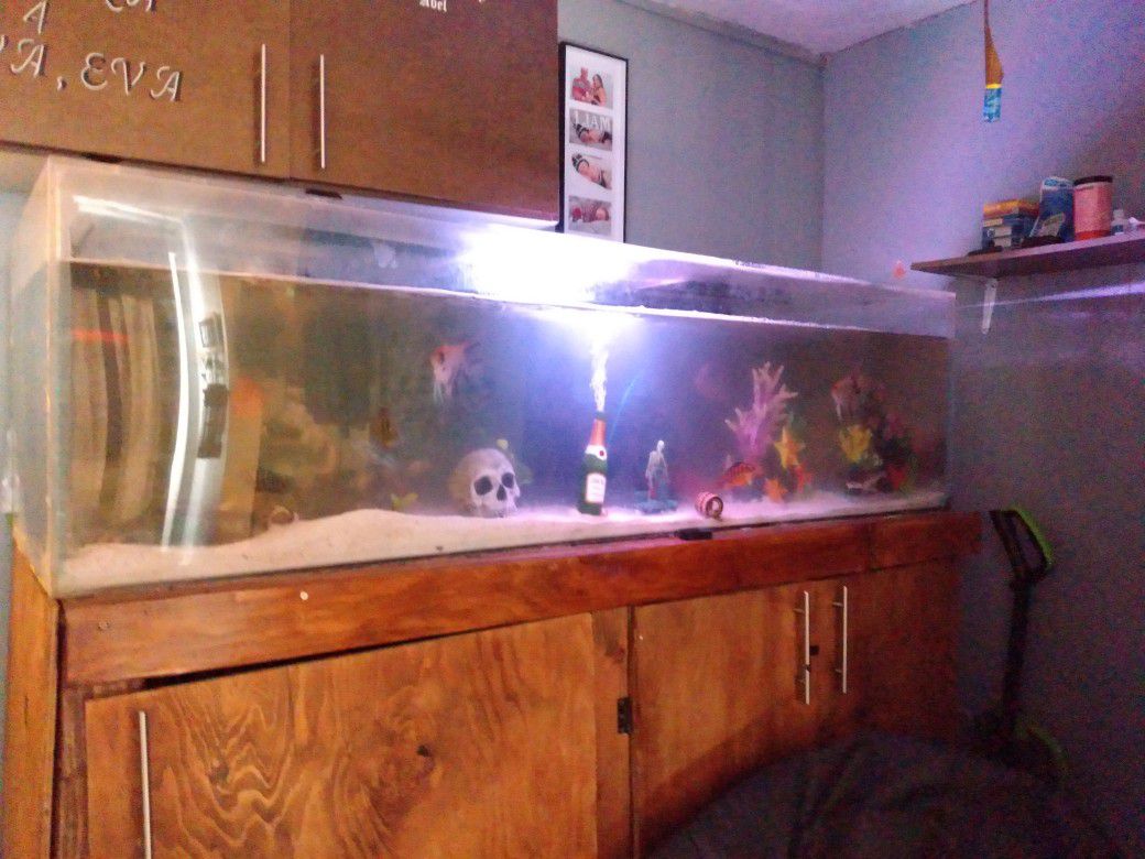 220 g.aquarium fish tank comes with canister filter..i added wood trim around tank ..I paid $3,000 for the whole setup I'm asking for $900.00