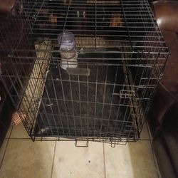  Big Dog Cage