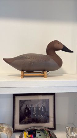 Duck Decoy