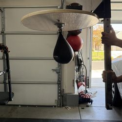Wall Boxing Speed Bag