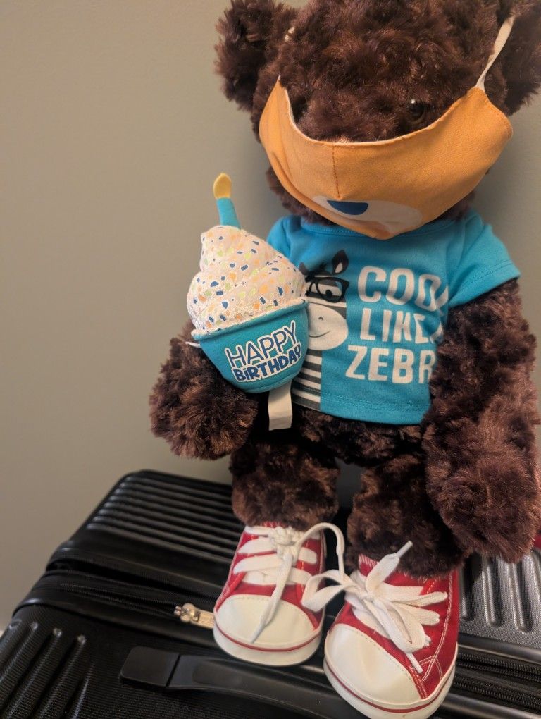 Fully Clothed Build A Bear Teddy