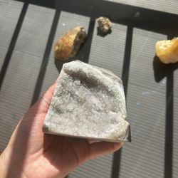 Looking To Trade For Plants!! Propagations Are Fine Too