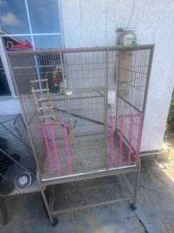 Bird Cage