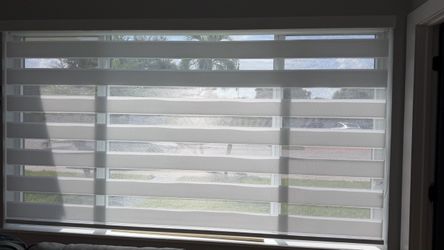 White Zebra Shade
