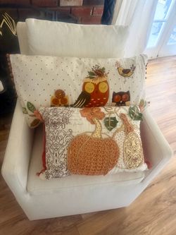 2 Fall pillows