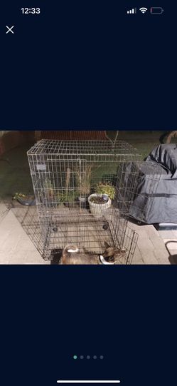 Large Collapsible Bird Cage