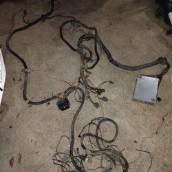 G-Body Wire Harness