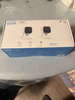 Blink Mini