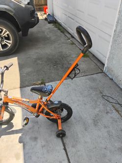 Gritt schwinn