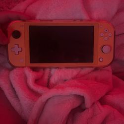 nintendo switch light