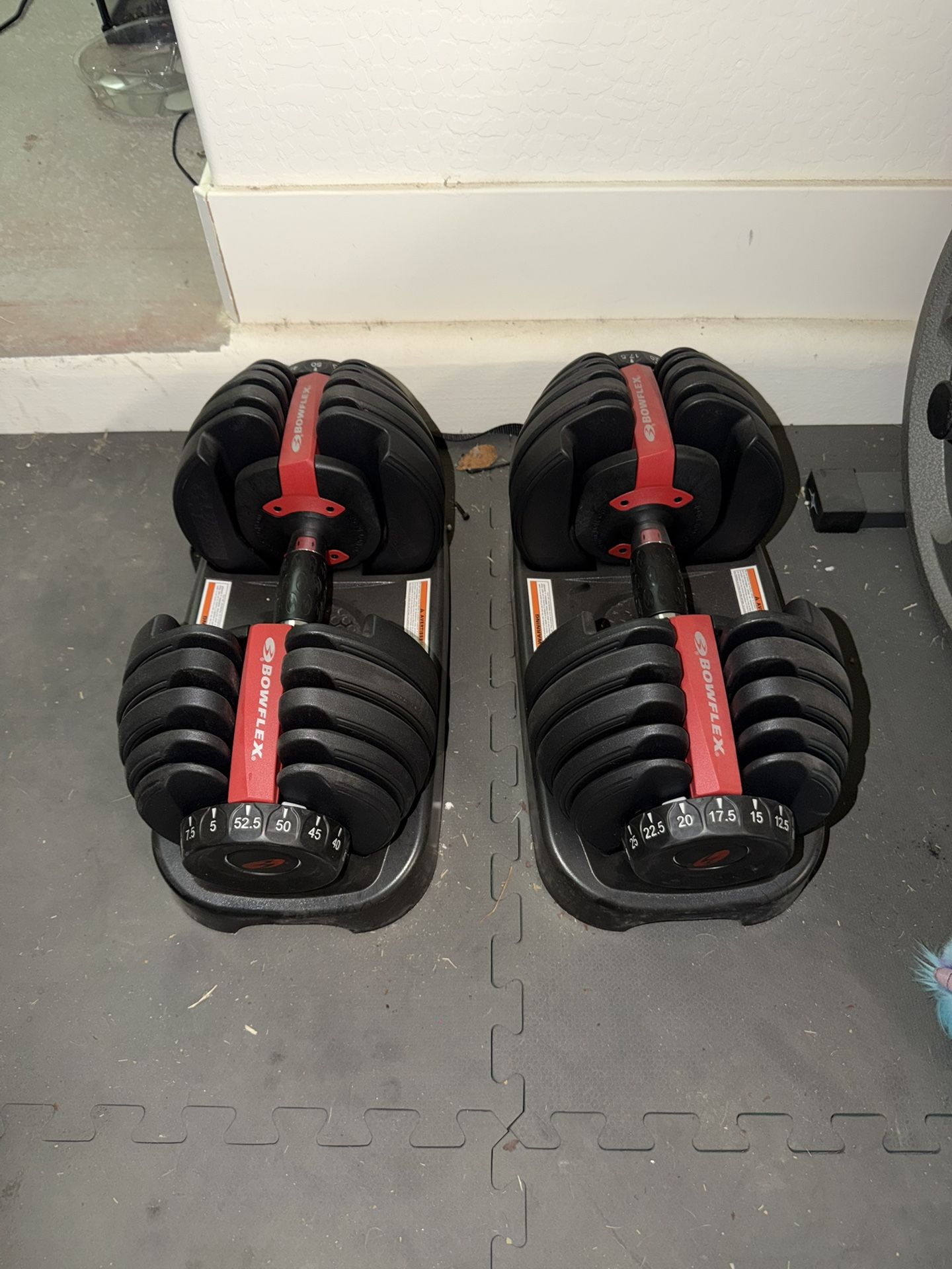 BowFlex Series 552