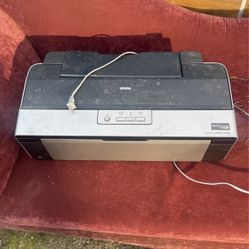 Epsom Stylis Photo R1900 Printer